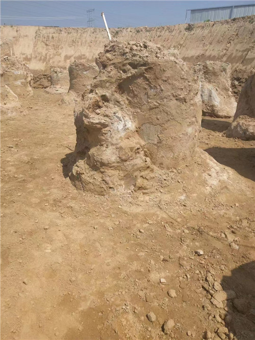 泰安香蕉视频H在线观看